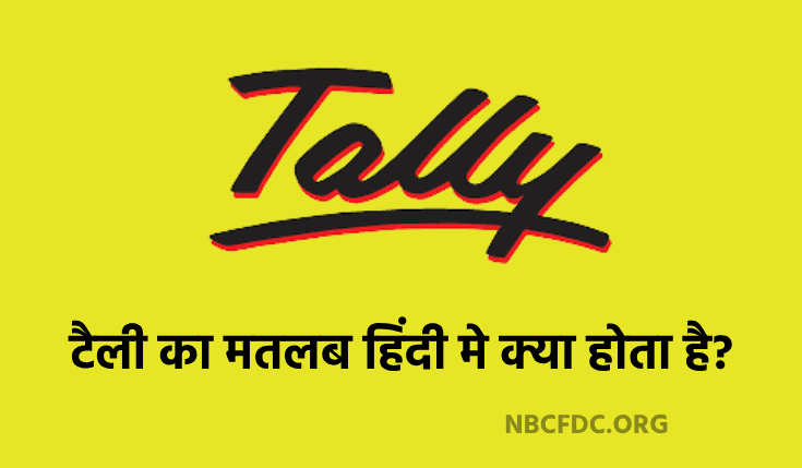Tally Meaning In Hindi - टैली का मतलब हिंदी मे क्या होता है? 